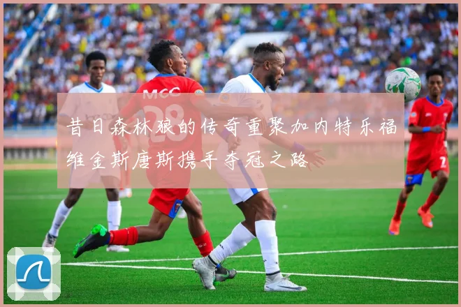 昔日森林狼的传奇重聚加内特乐福维金斯唐斯携手夺冠之路